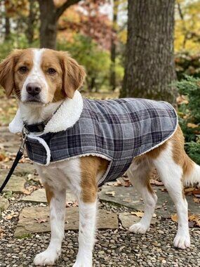 Live Love Bark Dog Coat Pet Jacket Clothing Size L Sherpa White Lining